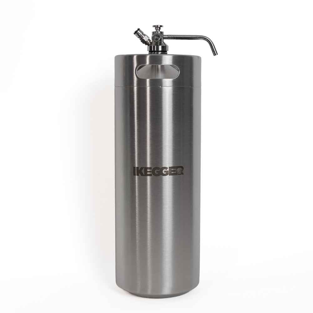 10L iKegger Mini Keg | Silver