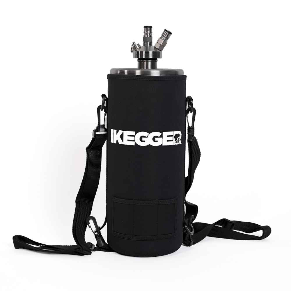 4L iKegger Mini Keg | Silver