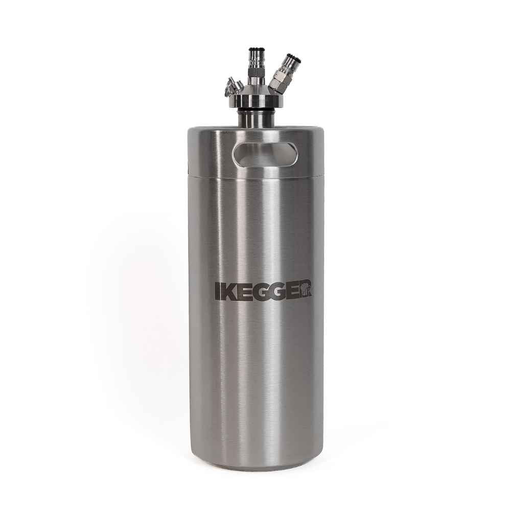 4L iKegger Mini Keg | Silver