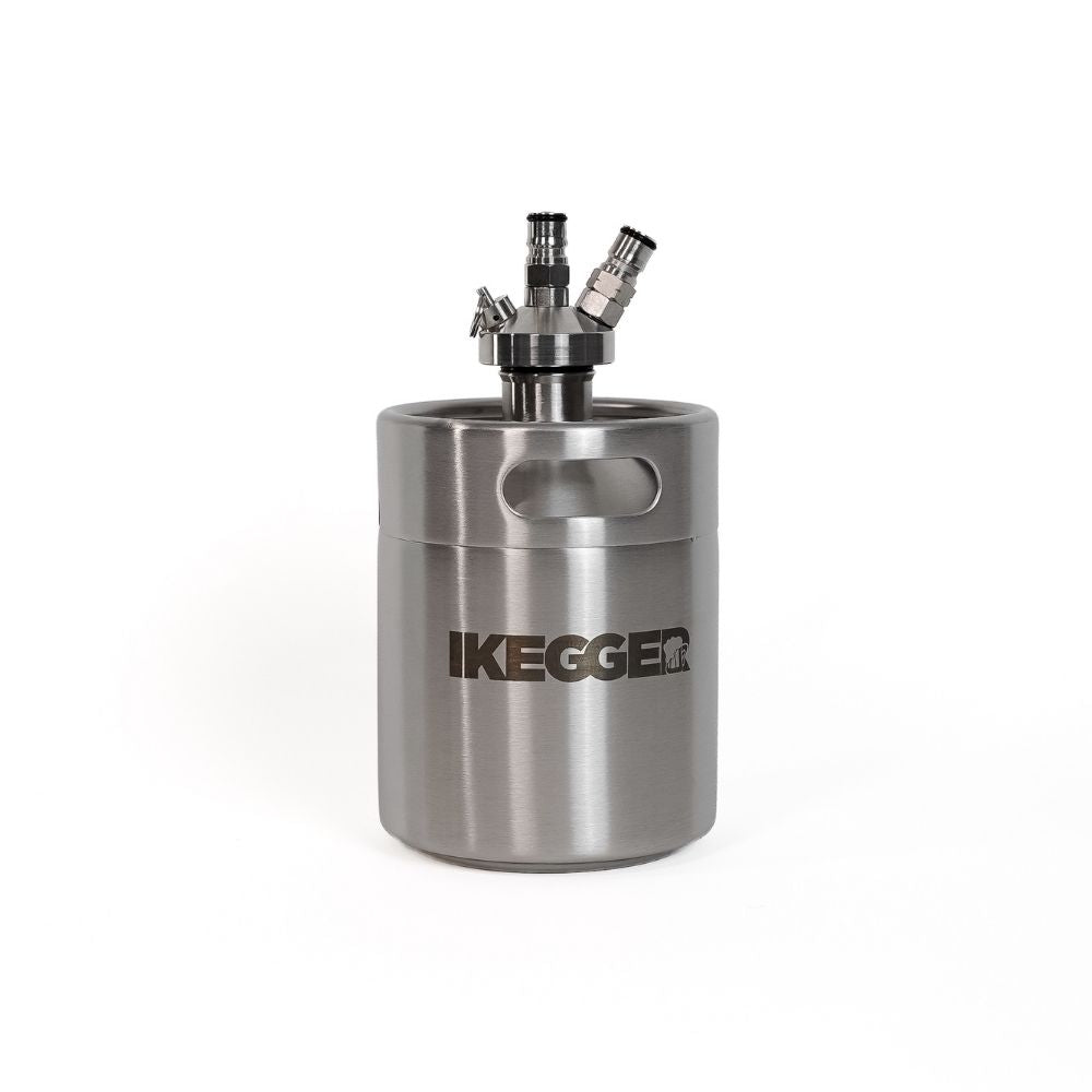 2L <tc>iKegger</tc> Minifass | Silber