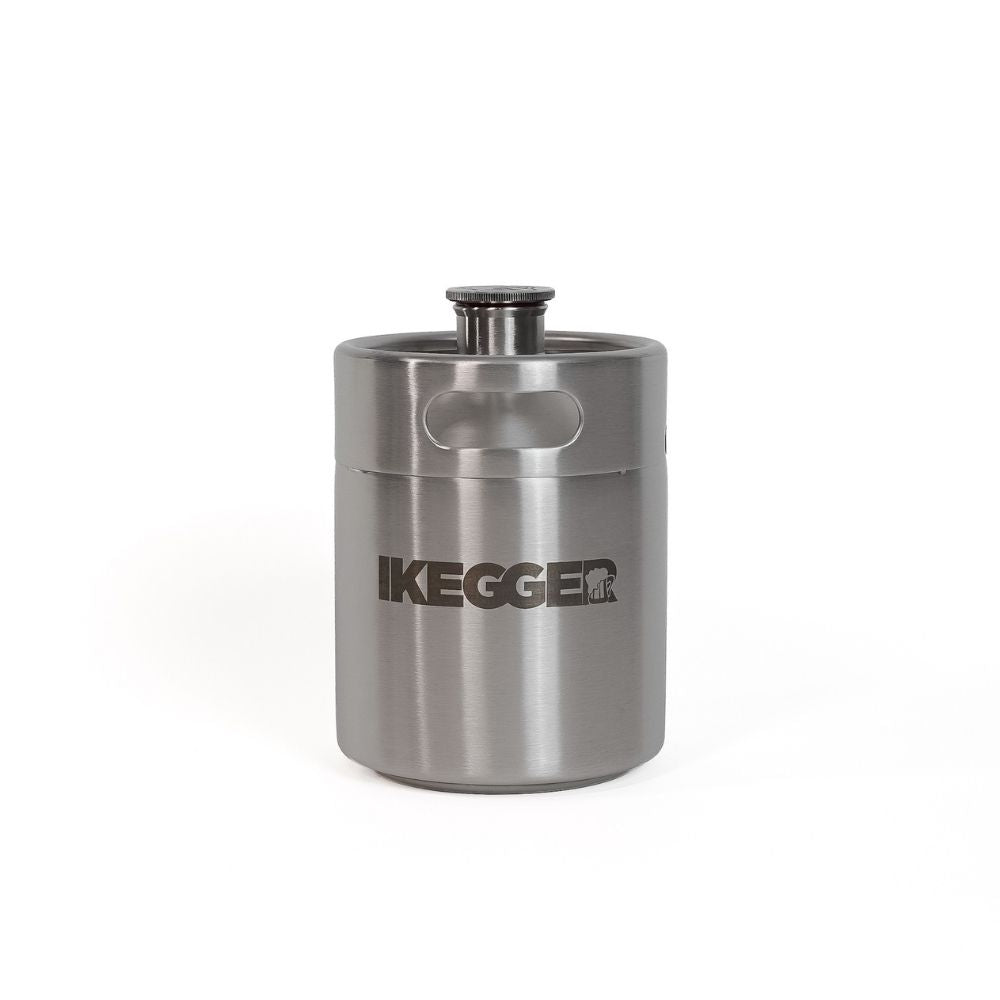 2L <tc>iKegger</tc> Minifass | Silber
