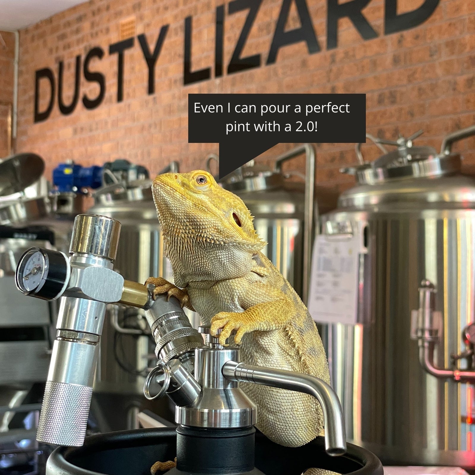 iKegger 2.0 | Basic Mini Keg Set with Push-Tap & Mini Regulator – Tap System for Beer, Cocktails & Nitro