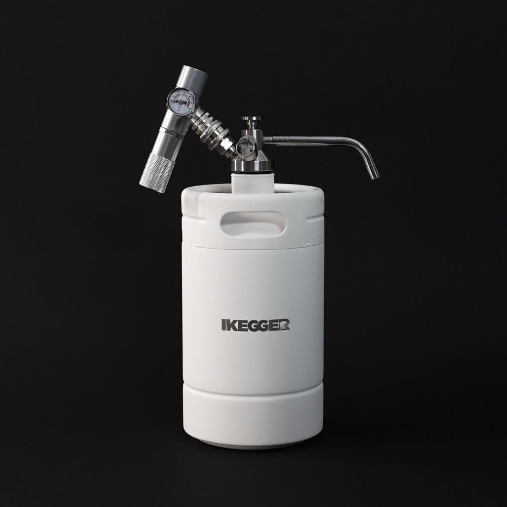 <tc>iKegger</tc> 2.0 | Mini-Fass-Basisset mit Zapfhahn &  Mini-Regler – Zapfanlage für Bier und Cocktails &  Nitro