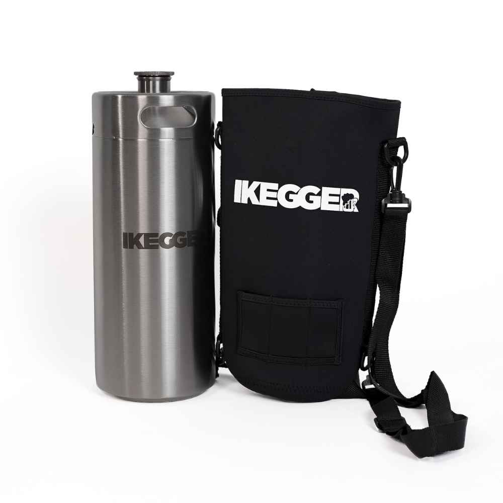 4L iKegger Mini Keg | Silver