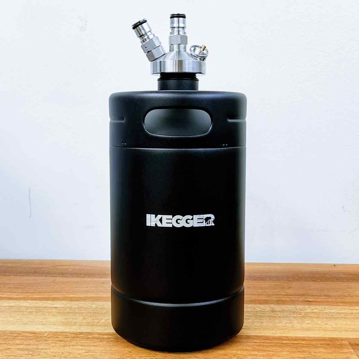 2l premium cooler mini keg